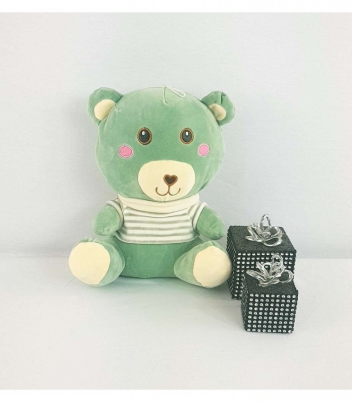 OSITO DE PELUCHE CON CAMISETA