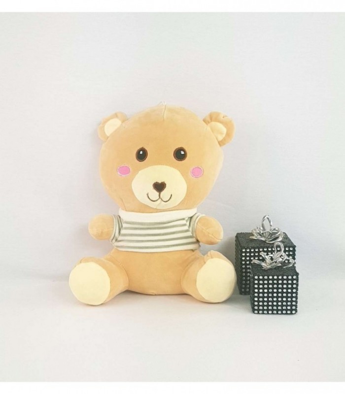 OSITO DE PELUCHE CON CAMISETA