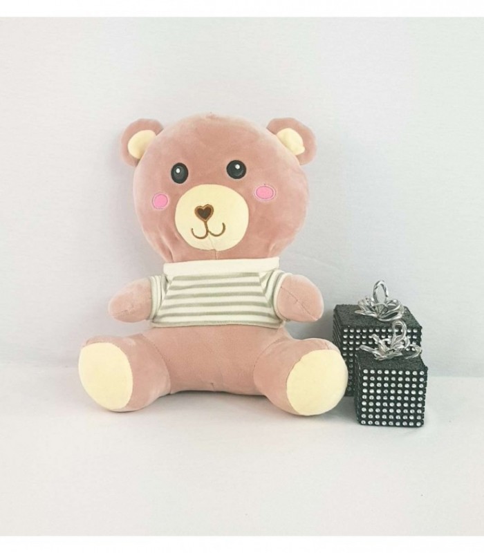 OSITO DE PELUCHE CON CAMISETA