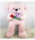 OSO DE PELUCHE CON FLOR